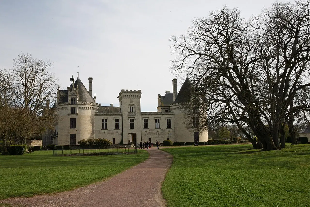 Le château de Brézé